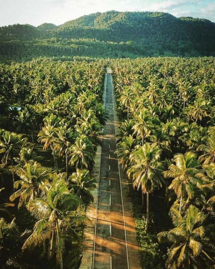 فندق Catangnanفي  "Triangle Hut" Camp Fuego Siargao المظهر الخارجي الصورة